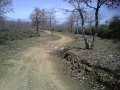 IMG10066