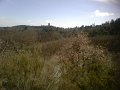 IMG10067