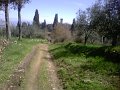 IMG10068