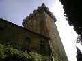 IMG10076