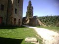 IMG10089
