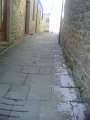 IMG10091