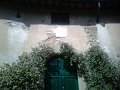 IMG10092