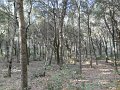 DSCN9241