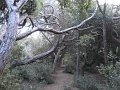 DSCN9244