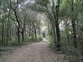 DSCN9282
