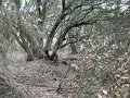 DSCN9305