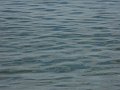 DSCN9318