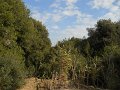 DSCN9328