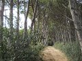DSCN9376