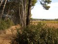 DSCN9380