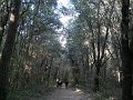 DSCN9487