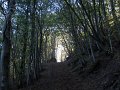 DSCN9061
