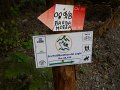 DSCN9084