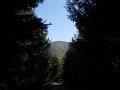 DSCN9094