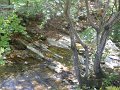 DSCN9104