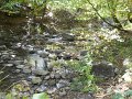 DSCN9107