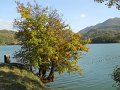 DSCN9139