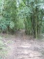 DSCN9735