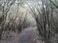 DSCN9743