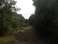 DSCN9768