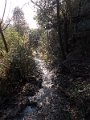 DSCN3455