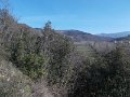 DSCN3456