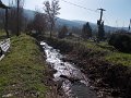 DSCN3462