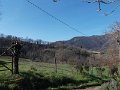 DSCN3482
