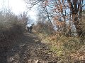 DSCN3487