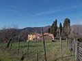 DSCN3488