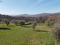 DSCN3496