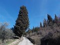 DSCN3506