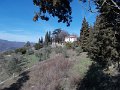 DSCN3542