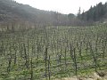 DSCN3582