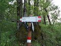 DSCN0978