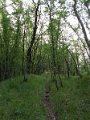 DSCN0979