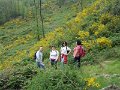 DSCN0987