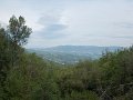 DSCN0993