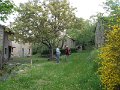 DSCN0997