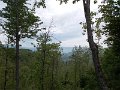 DSCN1003