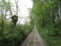 DSCN1004