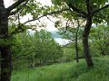 DSCN1020