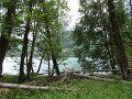 DSCN1092