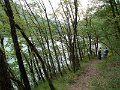 DSCN1103