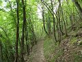 DSCN1107