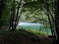 DSCN1119