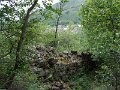 DSCN1133