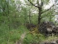 DSCN1136