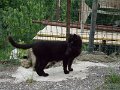DSCN1142